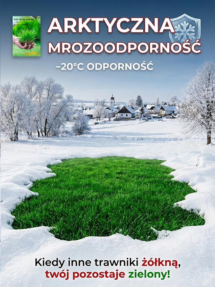 【Kiełkowalność 99%】Całoroczne mrozoodporne nasiona trawy na trawnik