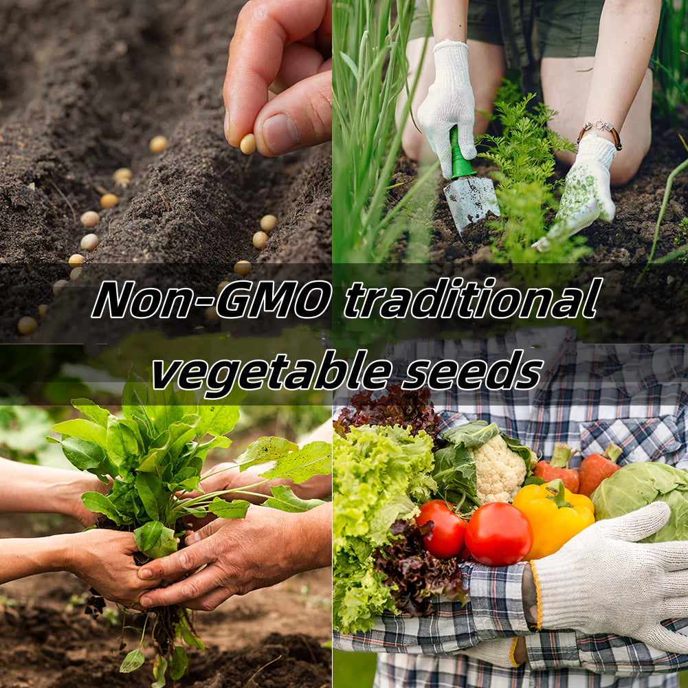 🌱 Комплект за съхранение на семена от зеленчуци – 35 наследствени сорта