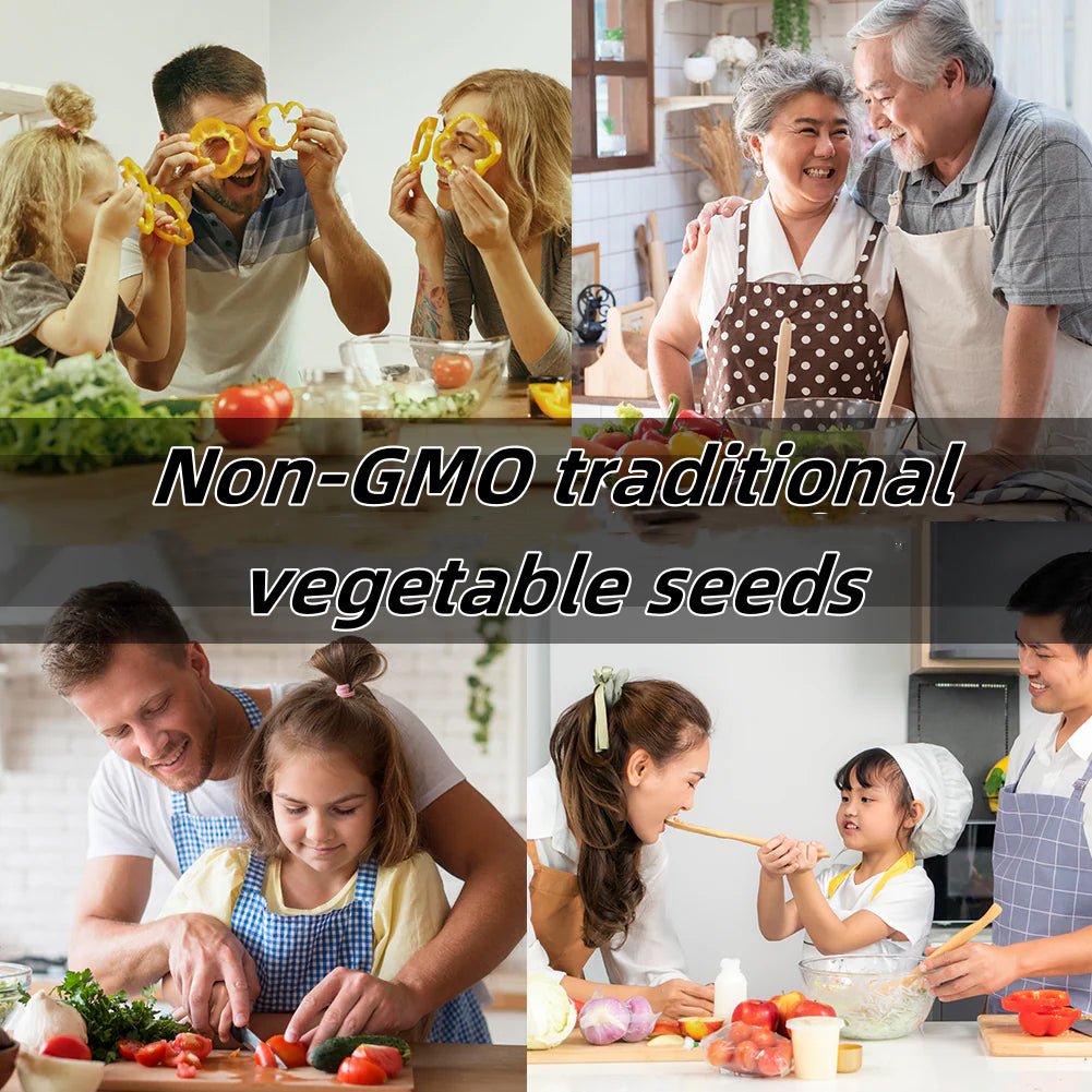 🌱 Комплект за съхранение на семена от зеленчуци – 35 наследствени сорта