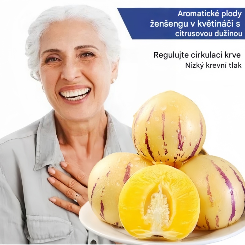 🌿Semena ženšenu - snadno se pěstují🌱