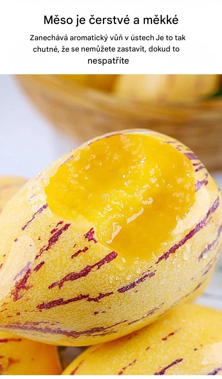 🌿Semena ženšenu - snadno se pěstují🌱