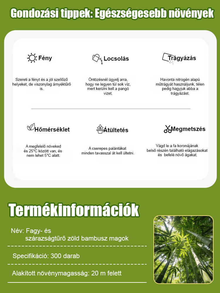 【Levegőtisztító】Fagy- és aszálytűrő zöld bambuszmagok