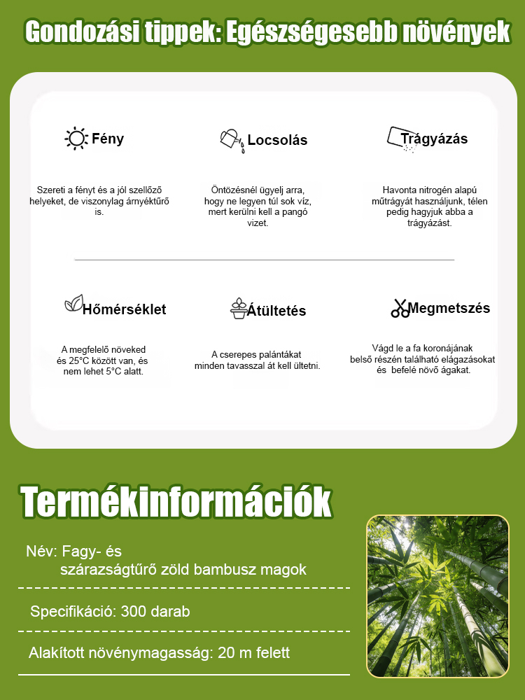 【Levegőtisztító】Fagy- és aszálytűrő zöld bambuszmagok