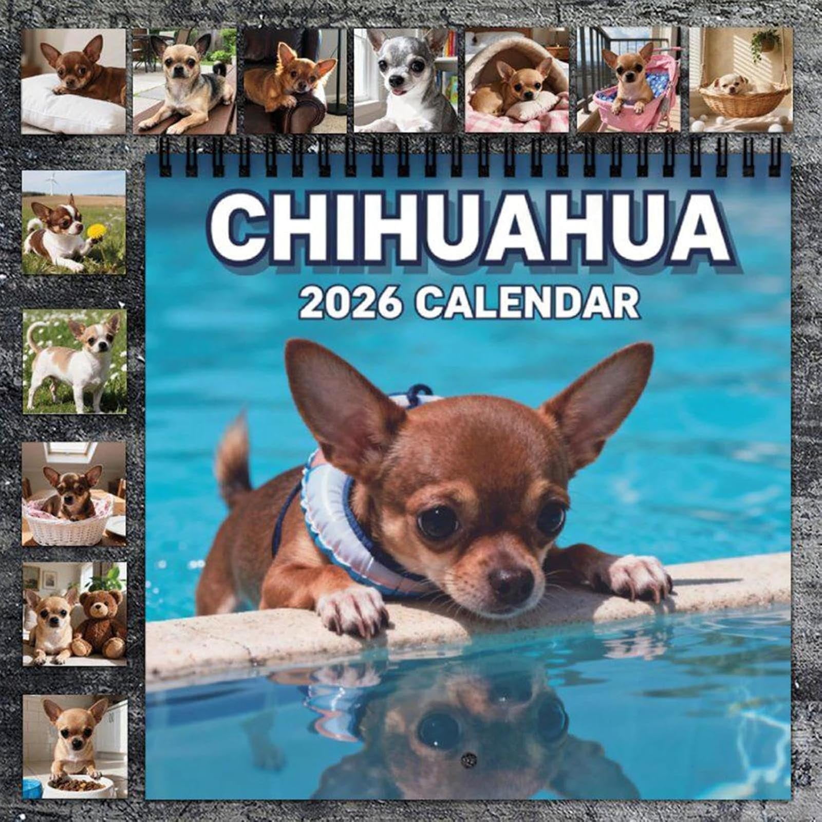 🎉New Year Hot Sale💓Limited Edition Custom-Made 2026 Fun Animal Wall Calendar