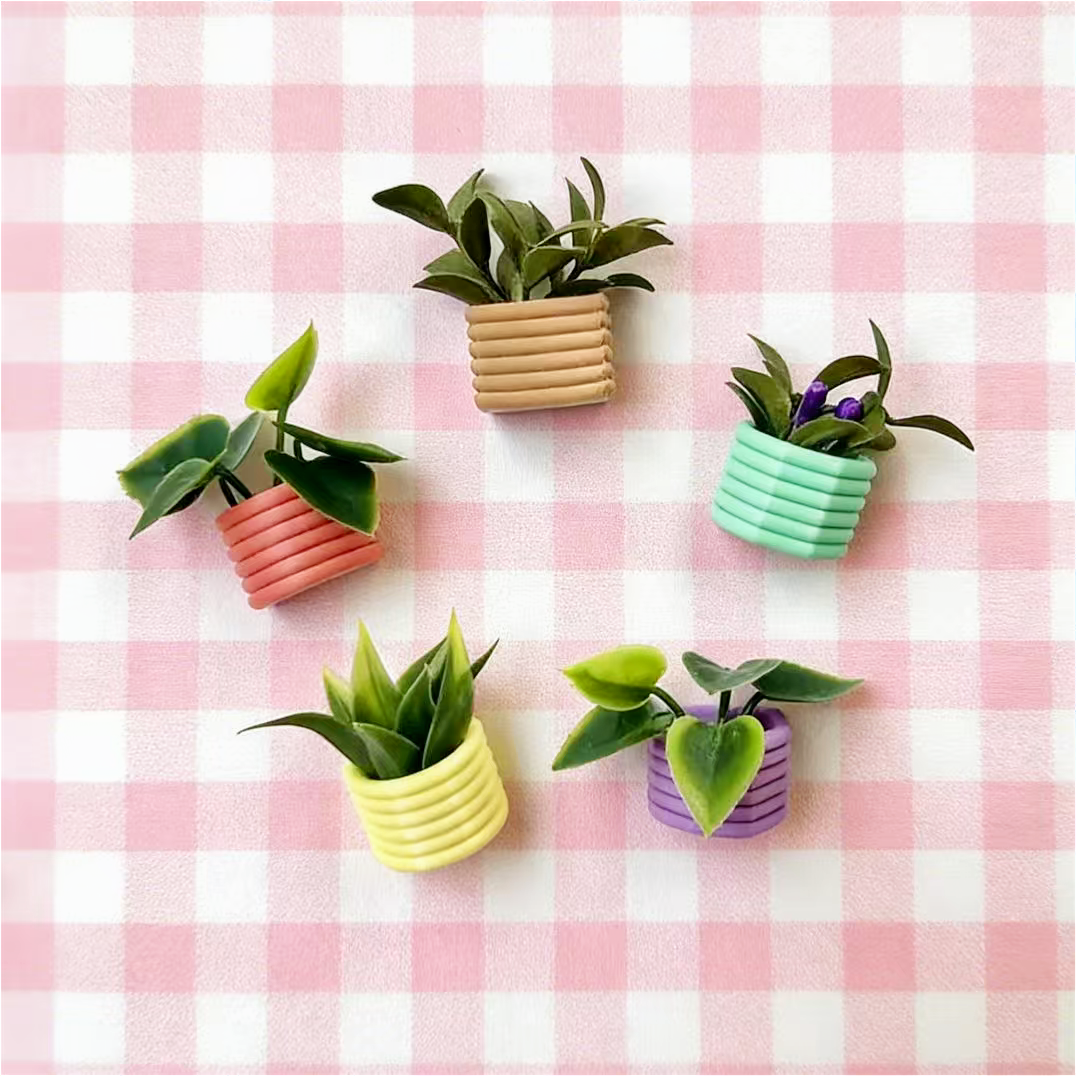 冰箱贴-植物Plants