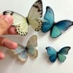 Butterfly Fridge Magnet, Resin Kitchen and Home Nature Decor