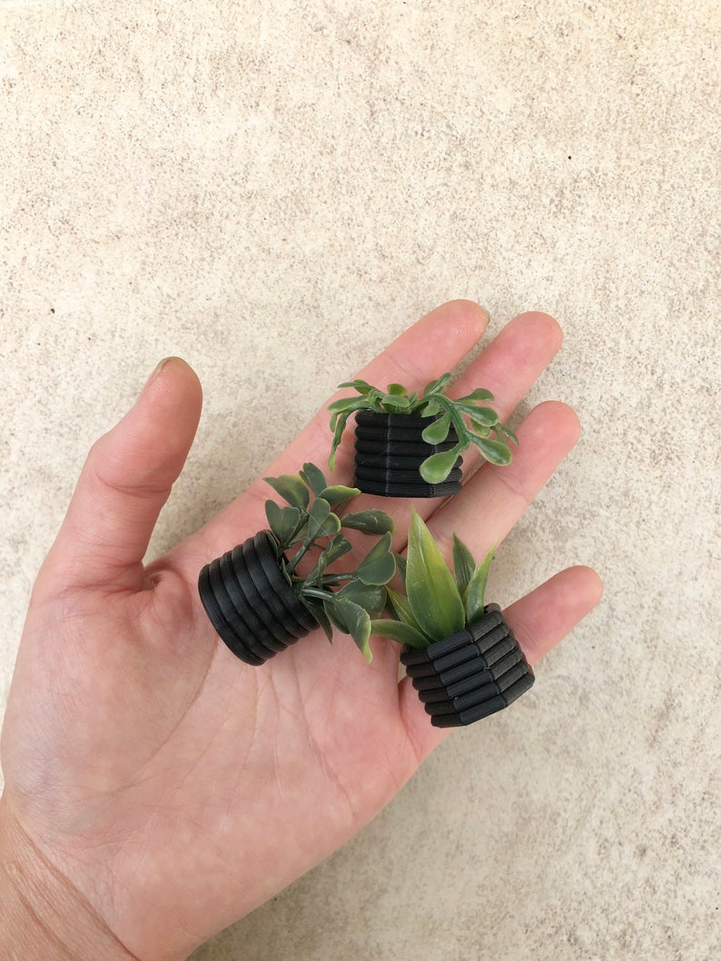 Mini Succulent Fridge Magnet, Planter Kitchen and Office Decor