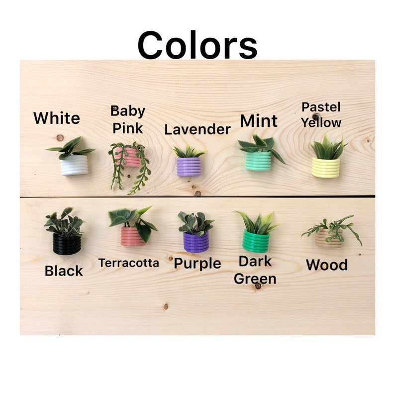 Mini Succulent Fridge Magnet, Planter Kitchen and Office Decor