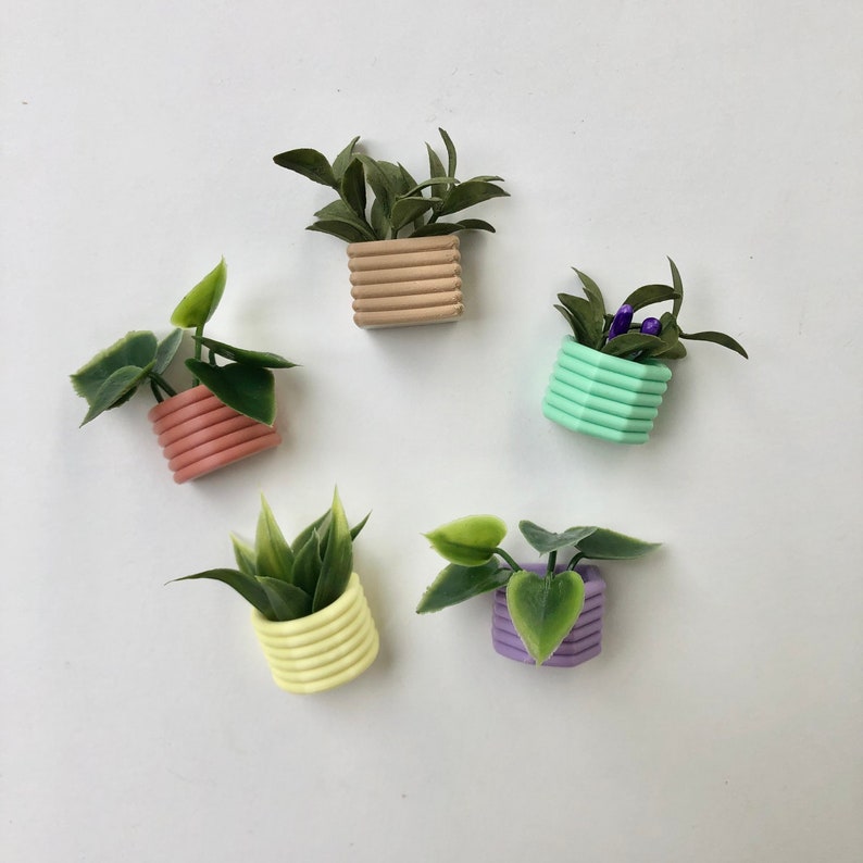 Mini Succulent Fridge Magnet, Planter Kitchen and Office Decor