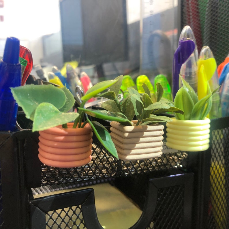 Mini Succulent Fridge Magnet, Planter Kitchen and Office Decor