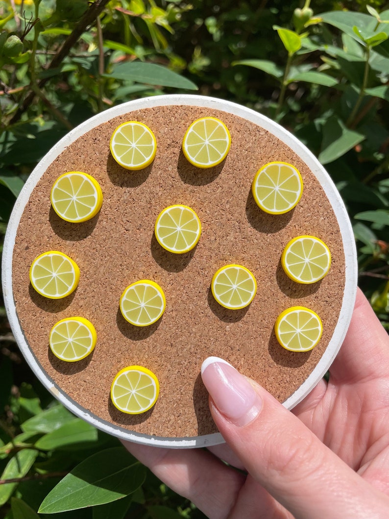 Lemon Slice Fridge Magnet or Drawing Pin, Kitchen Decor