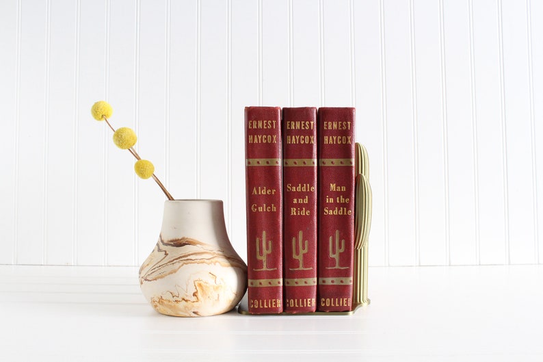 Cactus Bookends Southwestern Style Shelf Decor