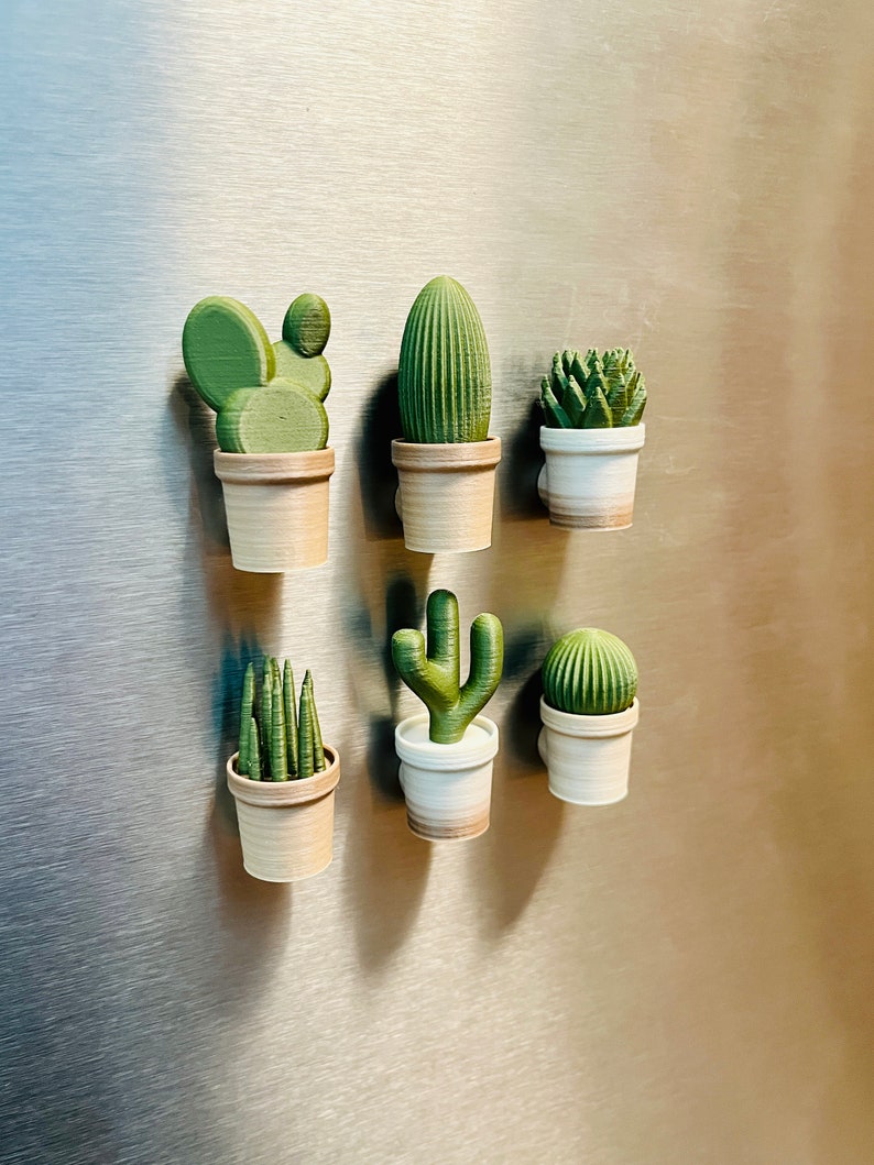 Cactus refrigerator magnets, 6-piece set, 3D printed