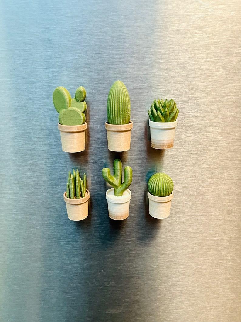 Cactus refrigerator magnets, 6-piece set, 3D printed
