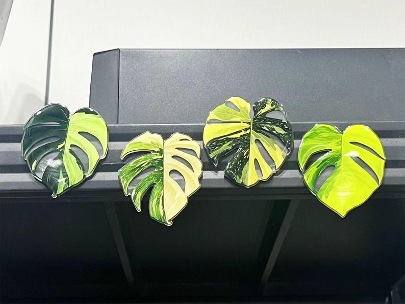 Monstera Leaf Fridge Magnet Set, Cute Plant Kitchen Decor Gift