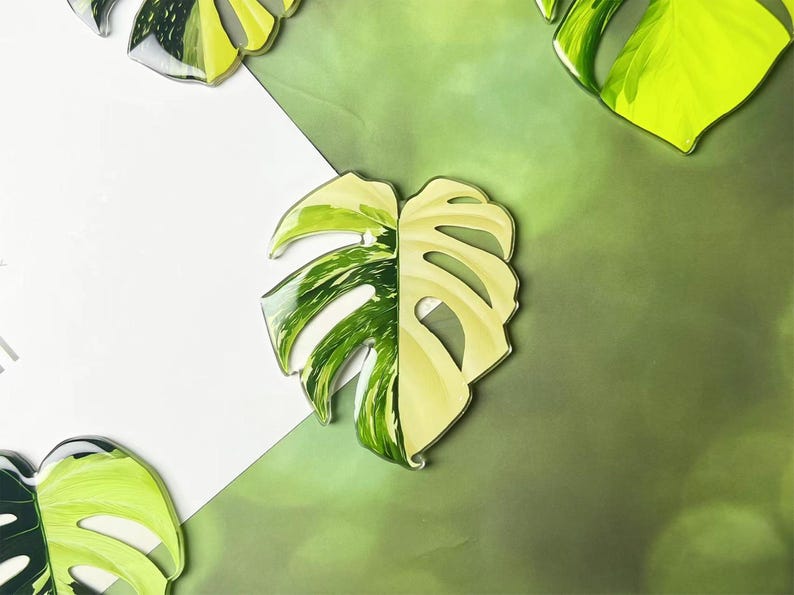 Monstera Leaf Fridge Magnet Set, Cute Plant Kitchen Decor Gift