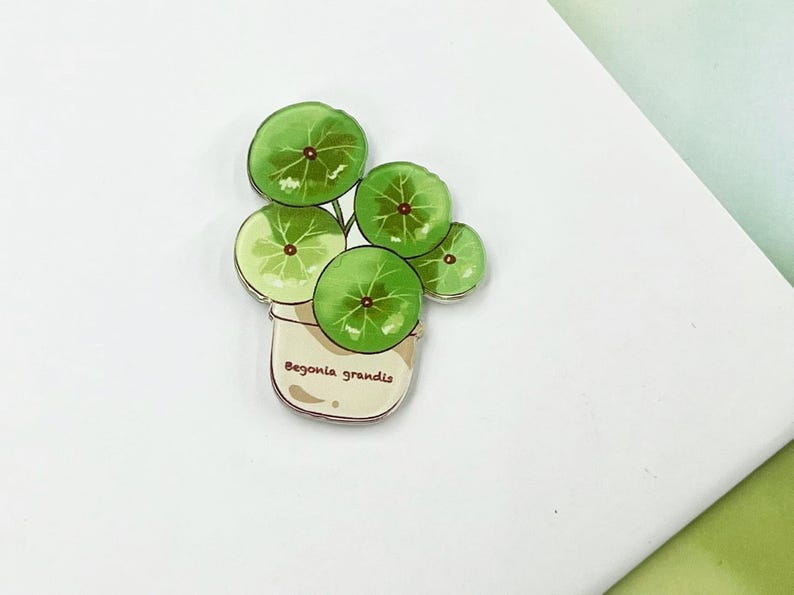 Tropical Plant Fridge Magnet, Monstera Leaf, Kitchen Decoration