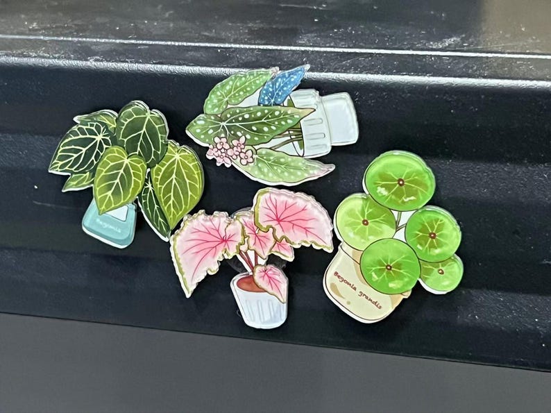 Tropical Plant Fridge Magnet, Monstera Leaf, Kitchen Decoration