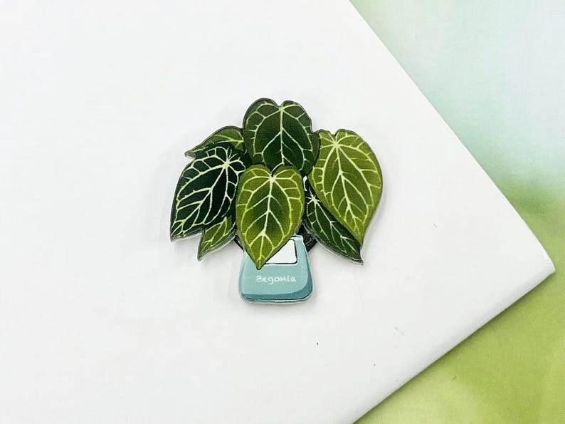 Tropical Plant Fridge Magnet, Monstera Leaf, Kitchen Decoration