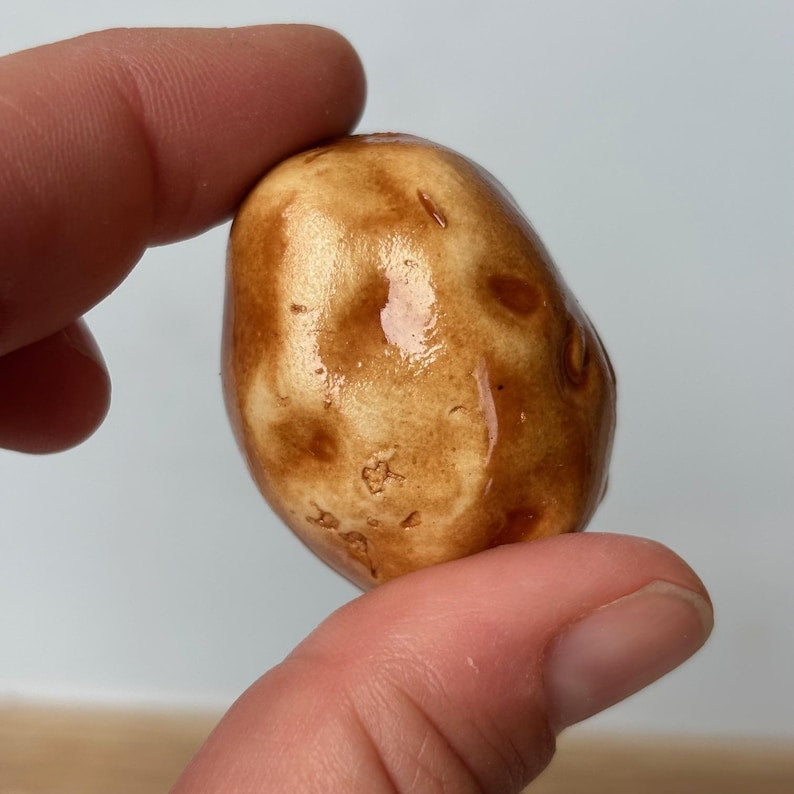 Vegetable Ceramic Fridge Magnets