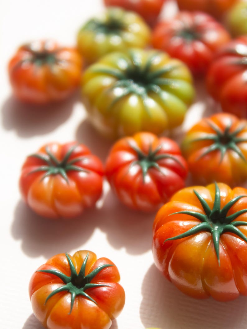 Heirloom Tomato Fridge Magnet