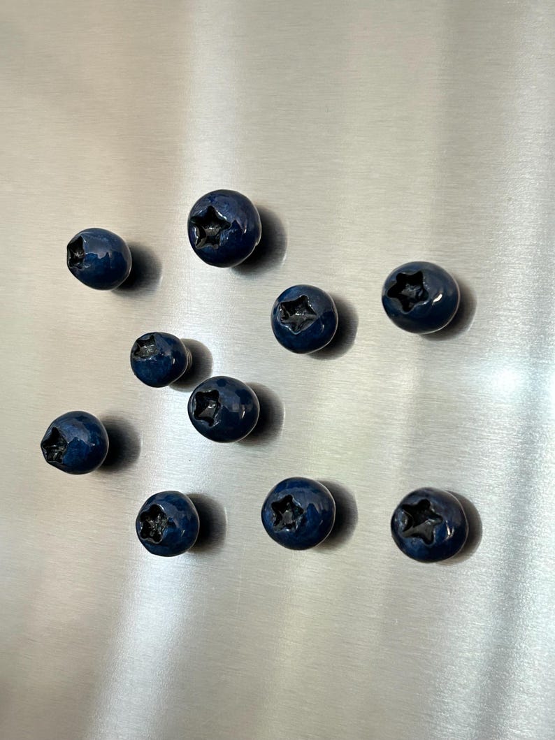 Polymer Clay Fruit Fridge Magnet Set, Blueberry Lemon Banana Kiwi