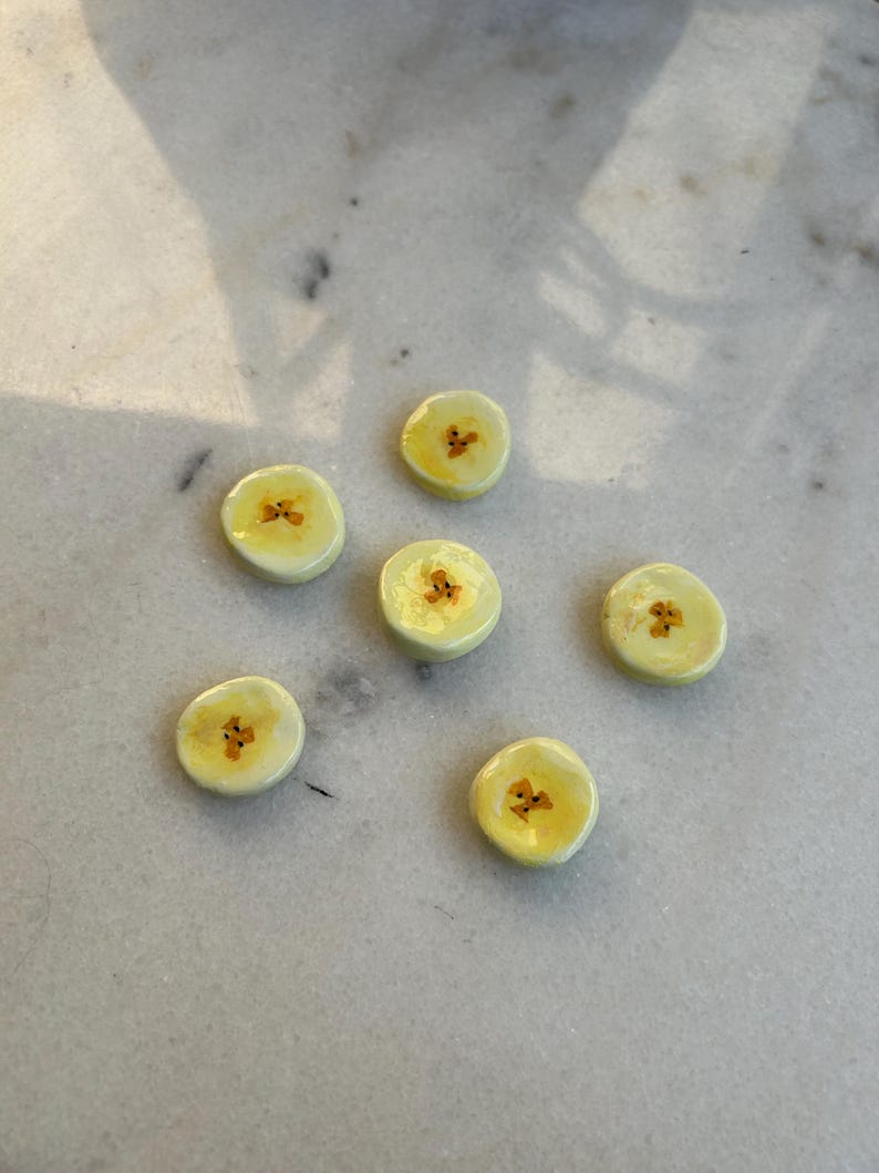 Polymer Clay Fruit Fridge Magnet Set, Blueberry Lemon Banana Kiwi