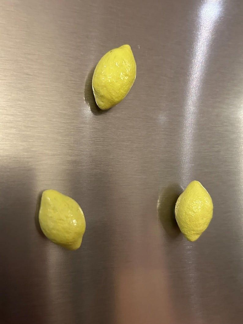 Polymer Clay Fruit Fridge Magnet Set, Blueberry Lemon Banana Kiwi