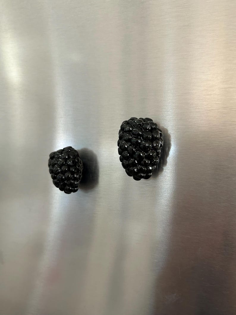 Polymer Clay Fruit Fridge Magnet Set, Blueberry Lemon Banana Kiwi