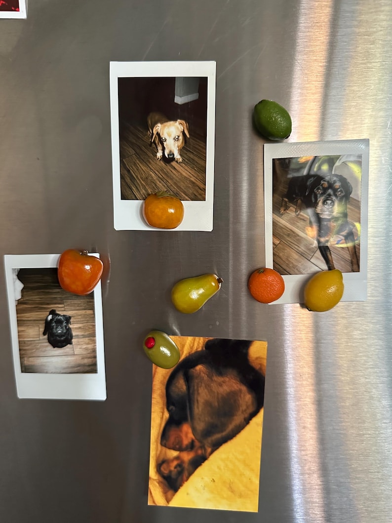 Stuffed Green Olive Fridge Magnet, Fruit Kitchen Decor