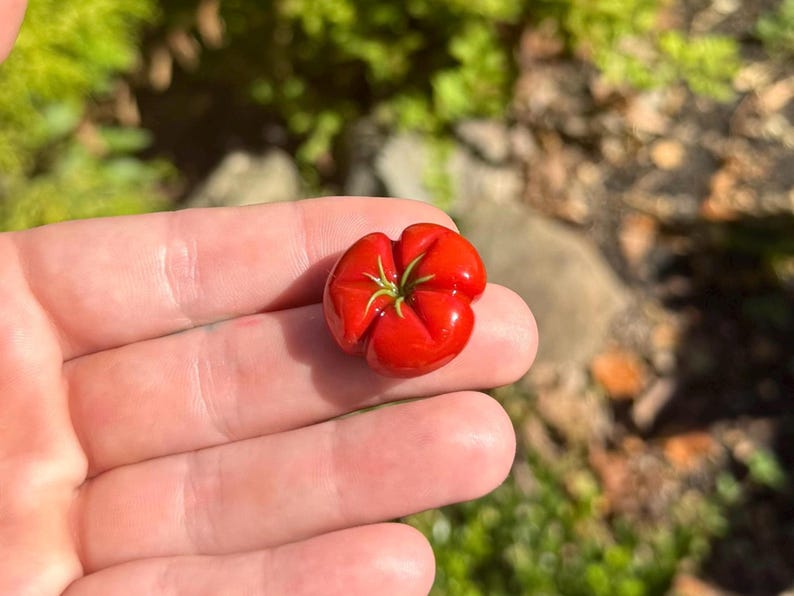 Tomato Fridge Magnet, Handmade Food Kitchen Decor