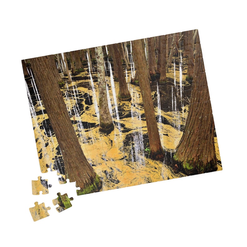 Abstract Swamp Trees Puzzle Forest Reflection Jigsaw 110–520