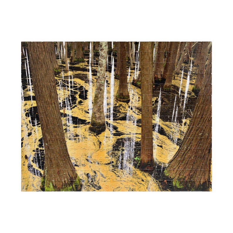 Abstract Swamp Trees Puzzle Forest Reflection Jigsaw 110–520