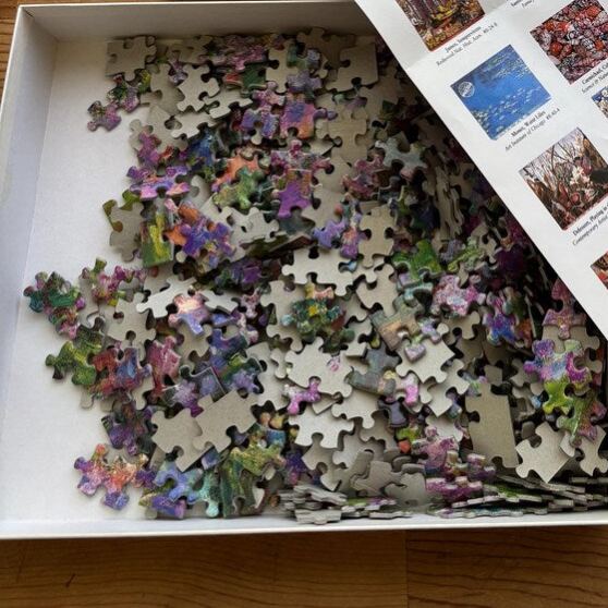 Vintage Monet Puzzle Museum D’Orsay France The Artist’s Garden at Giverny Claude Monet 90s jigsaw Puzzle 500 piece NOS