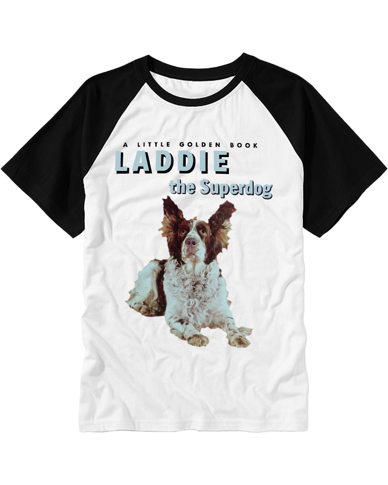 TheRetroTee Your Childhood Ruined Shut 1950s Raglan Baseball T-Shirt