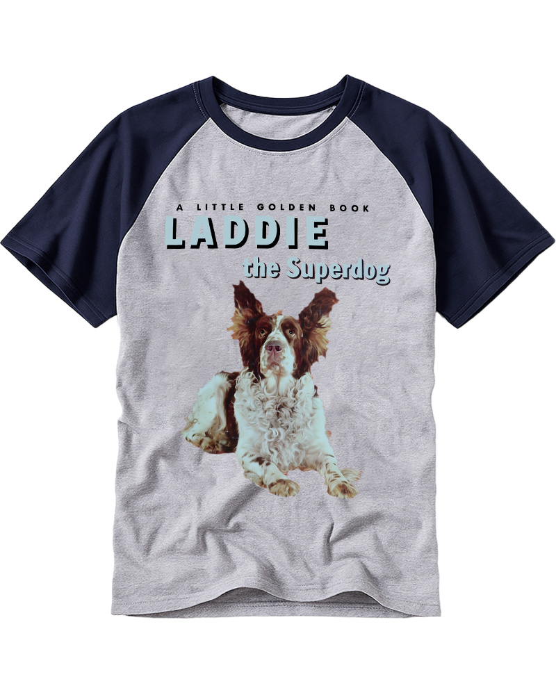 TheRetroTee Your Childhood Ruined Shut 1950s Raglan Baseball T-Shirt