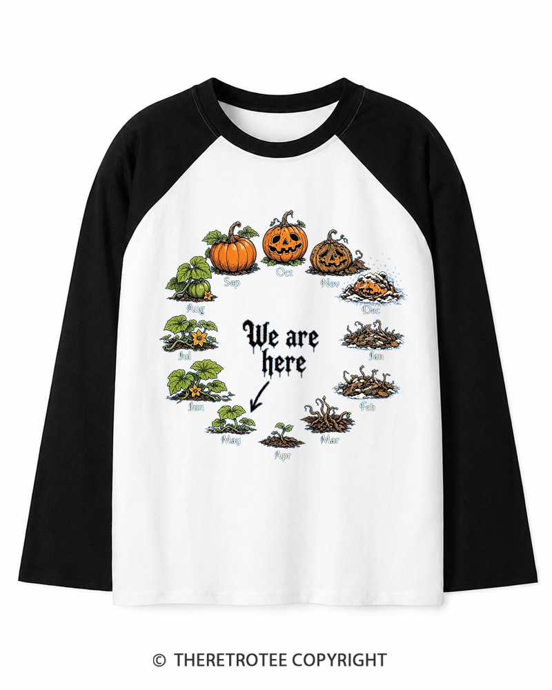 TheRetroTee Pumpkin Life Cycle 1980s Long Sleeve Raglan T-Shirt