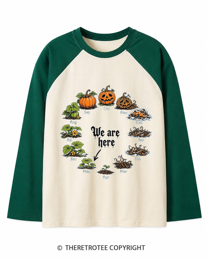 TheRetroTee Pumpkin Life Cycle 1980s Long Sleeve Raglan T-Shirt