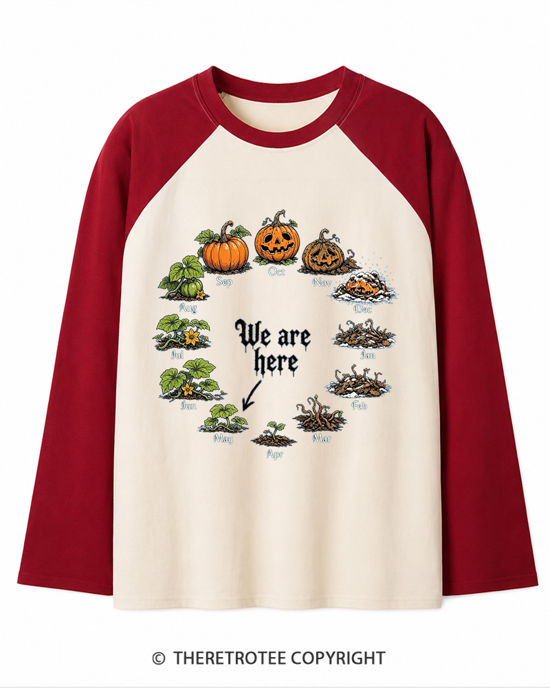 TheRetroTee Pumpkin Life Cycle 1980s Long Sleeve Raglan T-Shirt