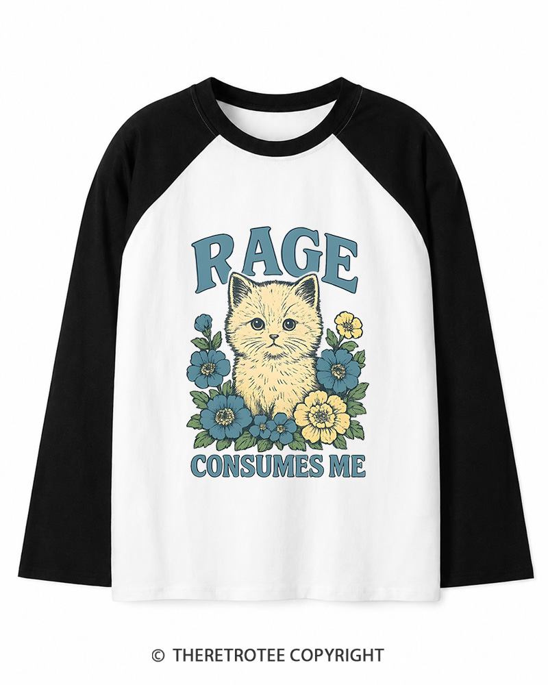 TheRetroTee Cat Meme 1970s Long Sleeve Raglan T-Shirt