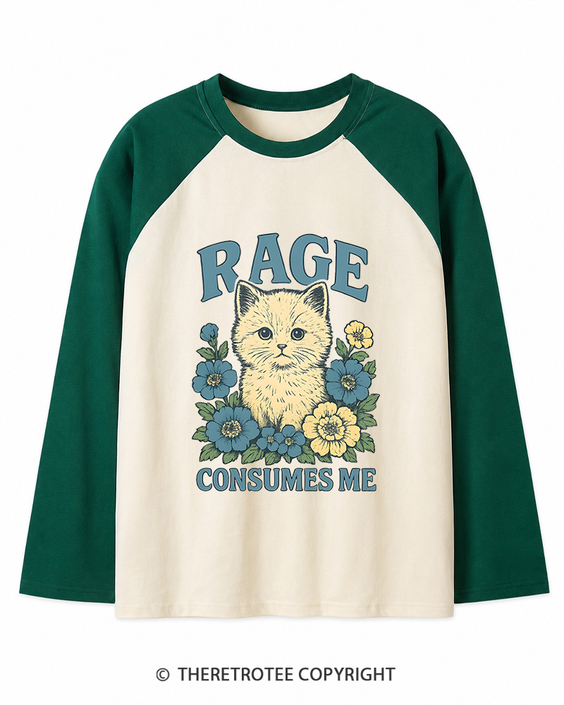 TheRetroTee Cat Meme 1970s Long Sleeve Raglan T-Shirt