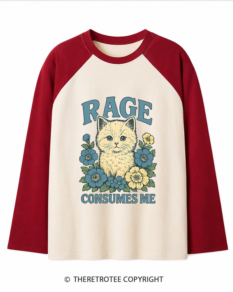 TheRetroTee Cat Meme 1970s Long Sleeve Raglan T-Shirt