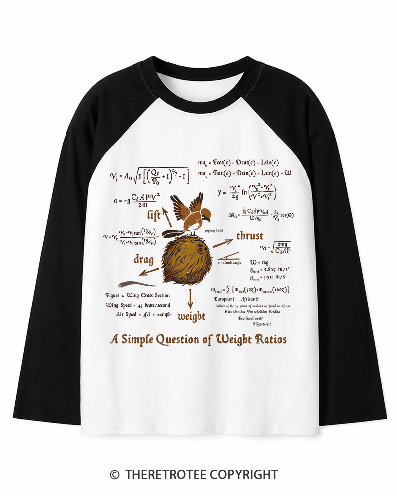 TheRetroTee A Simple Answer 1970s Long Sleeve Raglan T-Shirt