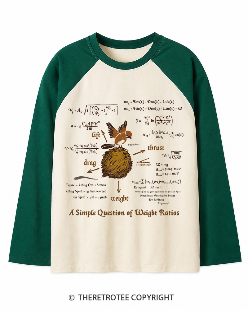 TheRetroTee A Simple Answer 1970s Long Sleeve Raglan T-Shirt