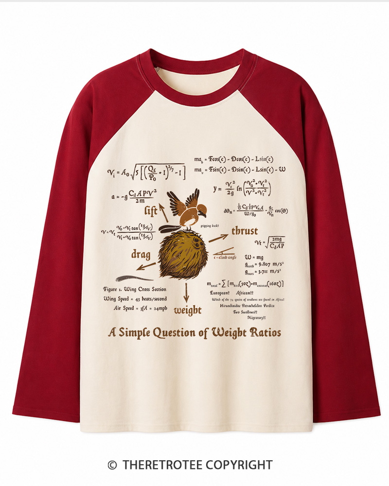 TheRetroTee A Simple Answer 1970s Long Sleeve Raglan T-Shirt