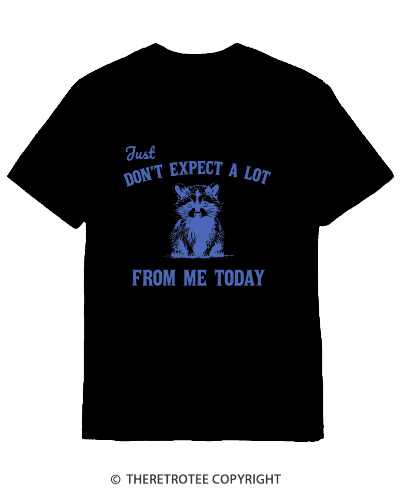 TheRetroTee Don't Expect A Lot From Me Today Cotton T-Shirt