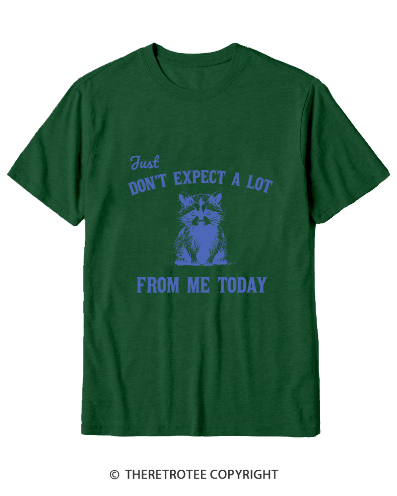 TheRetroTee Don't Expect A Lot From Me Today Cotton T-Shirt