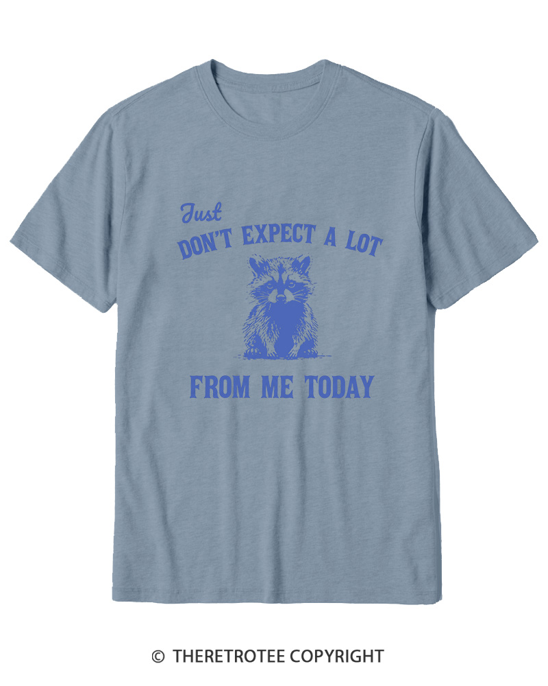 TheRetroTee Don't Expect A Lot From Me Today Cotton T-Shirt