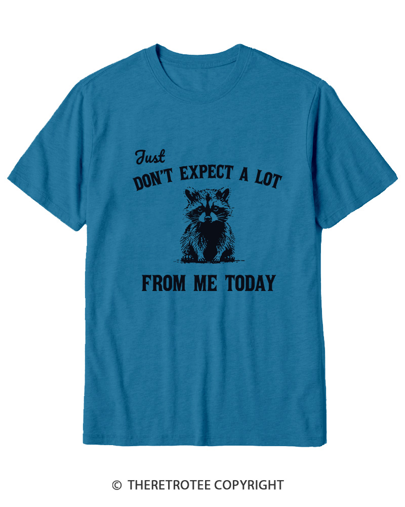TheRetroTee Don't Expect A Lot From Me Today Cotton T-Shirt