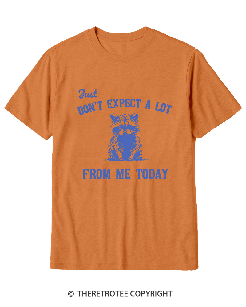 TheRetroTee Don't Expect A Lot From Me Today Cotton T-Shirt
